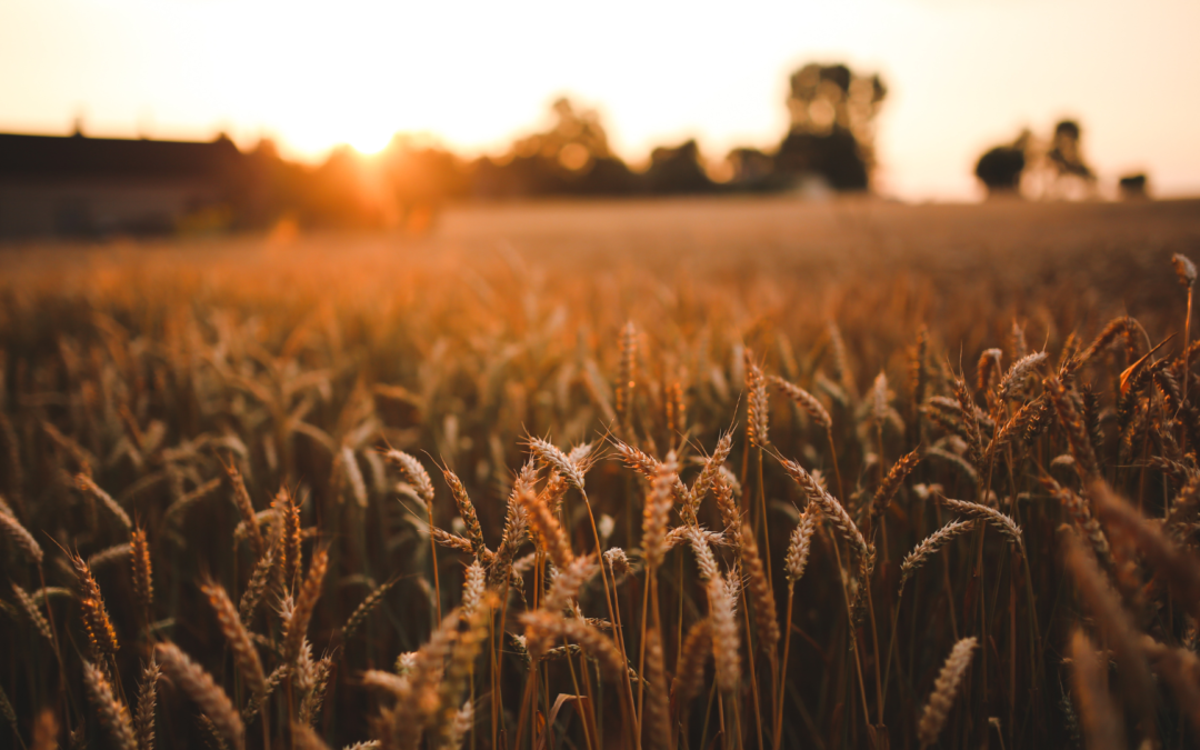 Timing the Market: Why Selling Your Agriculture Manufacturing Business Now Could Be a Wise Decision